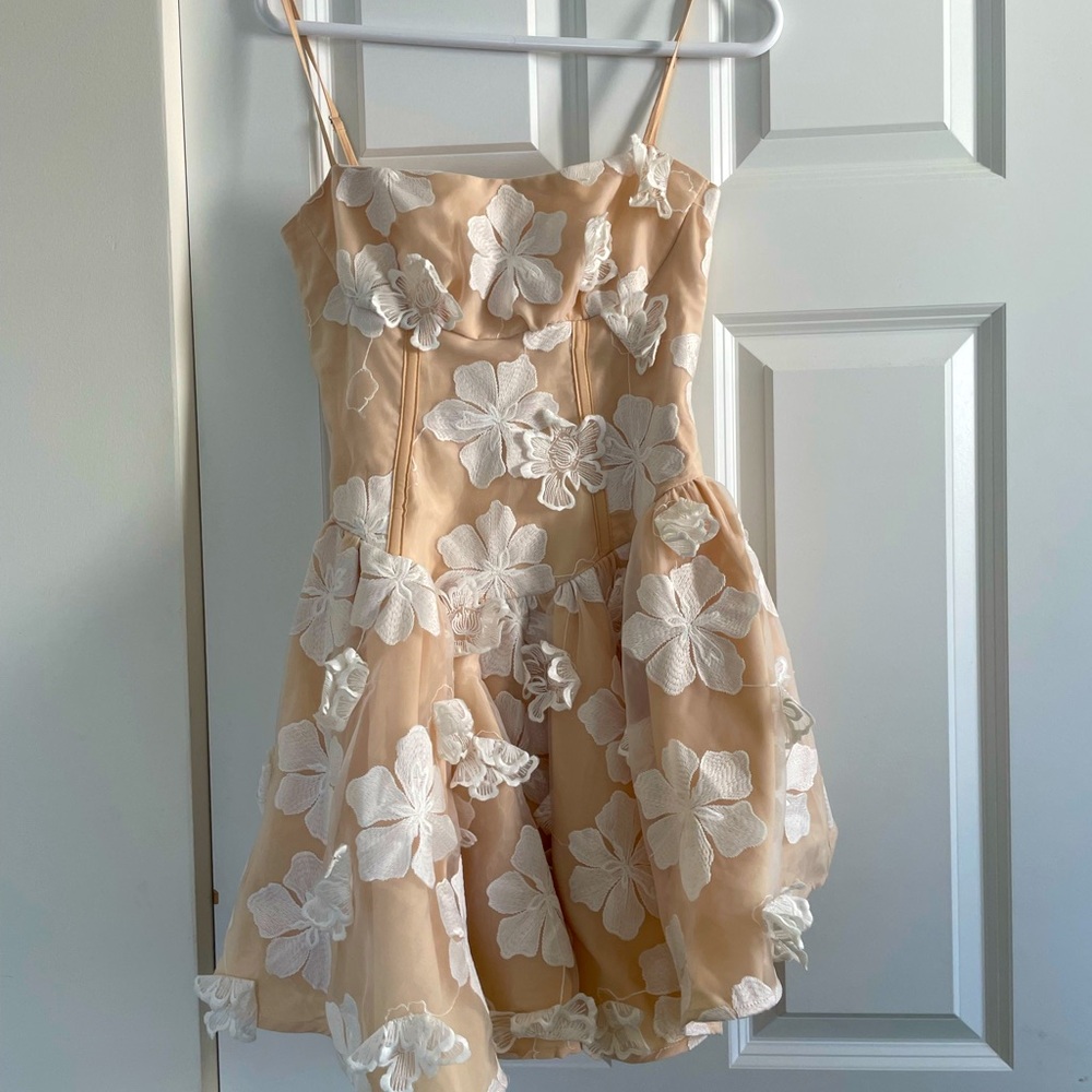 Cute Asos Dress